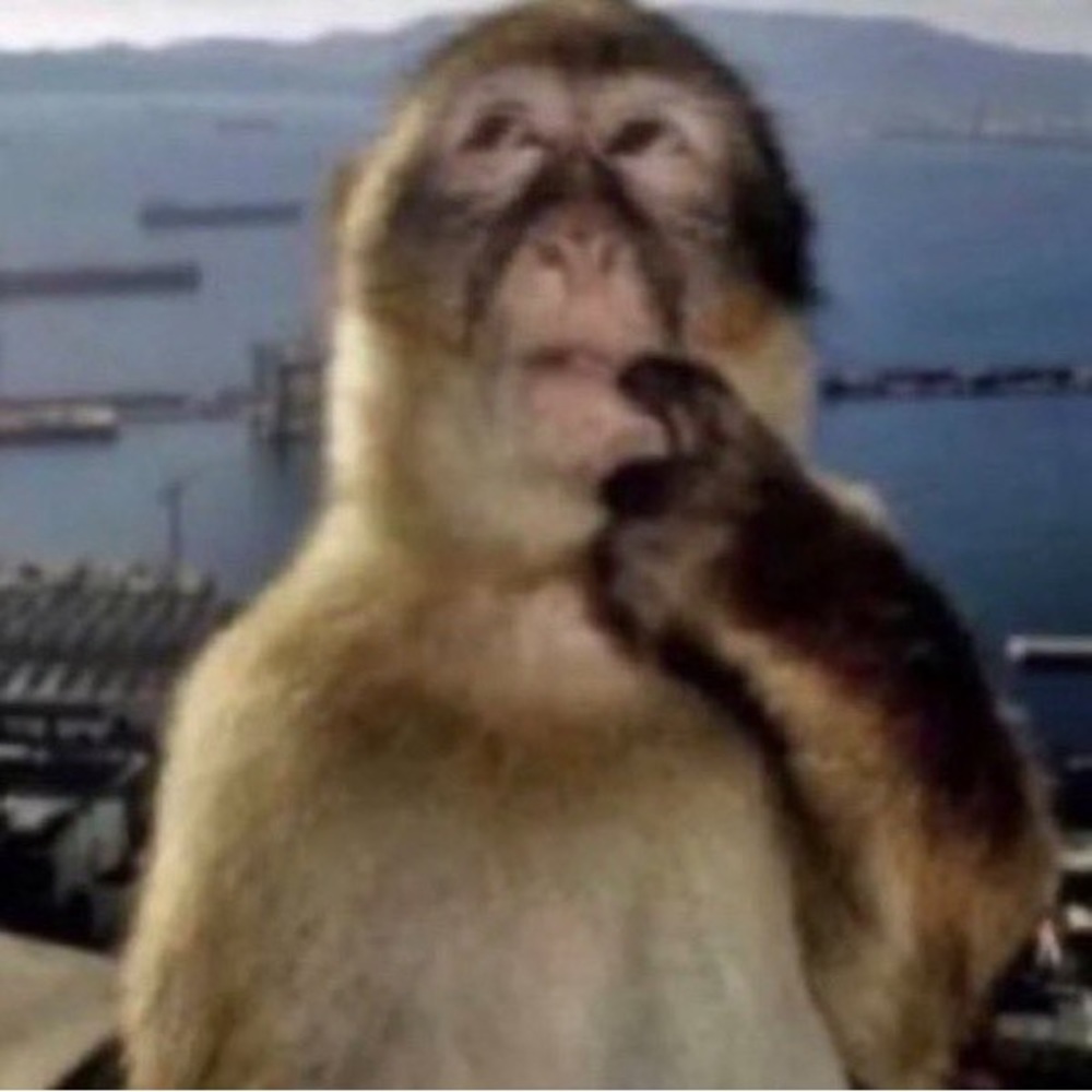 Meet your Posher, Owen